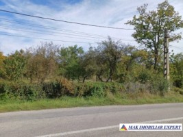 teren-6000-mp-intravilan-de-vanzare-in-corbi-arges-ideal-pentru-constructii-rezidentiale-sau-turistice-3