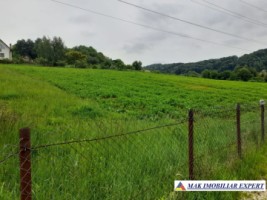 teren-12-ha-intraextravilan-de-vanzare-pe-calea-targovistei-in-campulung-muscel-arges-ideal-pentru-dezvoltare-rezidentiala-sau-agricola-3