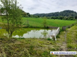 teren-12-ha-intraextravilan-de-vanzare-pe-calea-targovistei-in-campulung-muscel-arges-ideal-pentru-dezvoltare-rezidentiala-sau-agricola-2