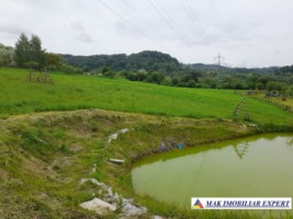 teren-12-ha-intraextravilan-de-vanzare-pe-calea-targovistei-in-campulung-muscel-arges-ideal-pentru-dezvoltare-rezidentiala-sau-agricola-5