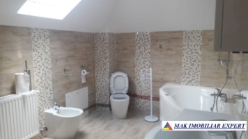 spatiu-comercial-300-mp-de-vanzare-in-centru-campulung-muscel-arges-ideal-pentru-afaceri-13