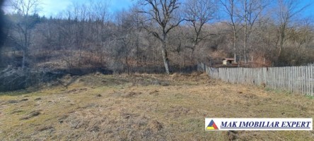 teren-4000-mp-intravilan-de-vanzare-in-aninoasa-arges-ideal-pentru-constructii-rezidentiale-3