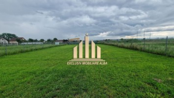 teren-intravilan-de-vanzare-barabant