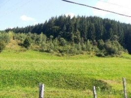 teren-7500-mp-intravilan-de-vanzare-in-leresti-arges-ideal-pentru-dezvoltare-rezidentiala-sau-turistica-1