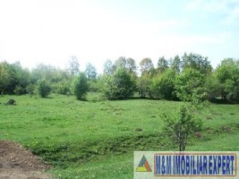 exclusivitate-teren-1-ha-extravilan-de-vanzare-in-cretisoara-campulung-muscel-arges-ideal-pentru-dezvoltare-rezidentiala