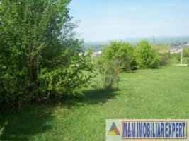 exclusivitate-teren-1-ha-extravilan-de-vanzare-in-cretisoara-campulung-muscel-arges-ideal-pentru-dezvoltare-rezidentiala-2