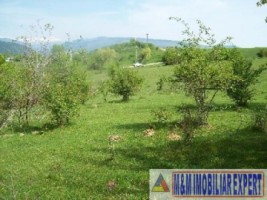 exclusivitate-teren-1-ha-extravilan-de-vanzare-in-cretisoara-campulung-muscel-arges-ideal-pentru-dezvoltare-rezidentiala-5