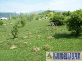 exclusivitate-teren-1-ha-extravilan-de-vanzare-in-cretisoara-campulung-muscel-arges-ideal-pentru-dezvoltare-rezidentiala-4