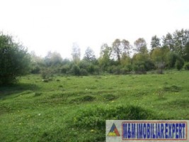 exclusivitate-teren-1-ha-extravilan-de-vanzare-in-cretisoara-campulung-muscel-arges-ideal-pentru-dezvoltare-rezidentiala-3