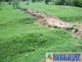 exclusivitate-teren-1-ha-extravilan-de-vanzare-in-cretisoara-campulung-muscel-arges-ideal-pentru-dezvoltare-rezidentiala-6