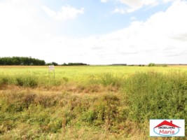 teren-59500-mp-botizului-la-sosea-sau-10-hectare-21543-3