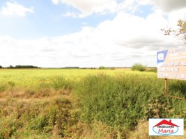 teren-59500-mp-botizului-la-sosea-sau-10-hectare-21543-2