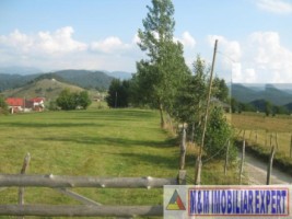 teren-2600-mp-intravilan-de-vanzare-in-sirnea-brasov-ideal-pentru-constructii-rezidentiale-sau-turistice