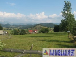 teren-2600-mp-intravilan-de-vanzare-in-sirnea-brasov-ideal-pentru-constructii-rezidentiale-sau-turistice-1