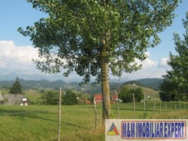 teren-2600-mp-intravilan-de-vanzare-in-sirnea-brasov-ideal-pentru-constructii-rezidentiale-sau-turistice-2