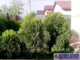 vila-5-camere-teren-230-mp-de-vanzare-in-pantelimon-sector-2-bucuresti-14