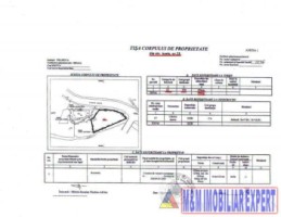 achizitioneaza-o-casa-in-sinaia-cu-teren-de-456-mp-ghid-complet-pentru-o-investitie-in-munti-2