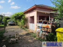 casa-cu-4-camere-si-teren-de-3000-mp-de-vanzare-in-bujoreni-teleorman-ideala-pentru-locuinta-spatioasa