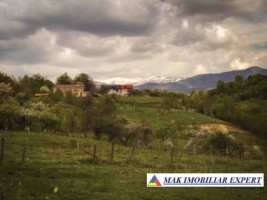 teren-intravilan-5120-mp-de-vanzare-in-albestii-de-muscel-arges