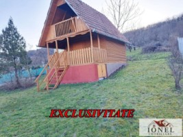 vanzare-casa-de-vacanta-in-alba-iulia-micesti