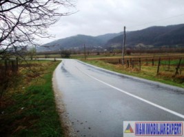 teren-2900-mp-1360-mp-intravilan-de-vanzare-in-balilesti-arges-potrivit-pentru-dezvoltare-rezidentiala-si-agricola-1