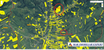 teren-extravilan-2848-mp-de-vanzare-in-berevoiesti-arges-ideal-pentru-investitii-agricole-4