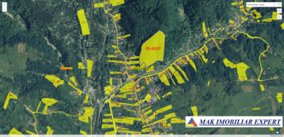 teren-extravilan-2848-mp-de-vanzare-in-berevoiesti-arges-ideal-pentru-investitii-agricole-5