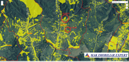 teren-extravilan-2848-mp-de-vanzare-in-berevoiesti-arges-ideal-pentru-investitii-agricole-6