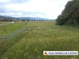 teren-intravilan-2974-mp-de-vanzare-in-campulung-muscel-arges-ideal-pentru-dezvoltari-rezidentiale-1