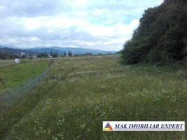 teren-intravilan-2974-mp-de-vanzare-in-campulung-muscel-arges-ideal-pentru-dezvoltari-rezidentiale-2