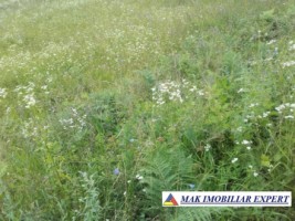 teren-intravilan-2974-mp-de-vanzare-in-campulung-muscel-arges-ideal-pentru-dezvoltari-rezidentiale-4