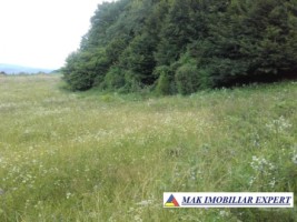 teren-intravilan-2974-mp-de-vanzare-in-campulung-muscel-arges-ideal-pentru-dezvoltari-rezidentiale-3
