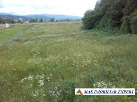 teren-intravilan-2974-mp-de-vanzare-in-campulung-muscel-arges-ideal-pentru-dezvoltari-rezidentiale