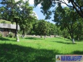 teren-intravilan-2900-mp-in-rucar-arges-potential-pentru-constructii-si-dezvoltare-rezidentiala-1