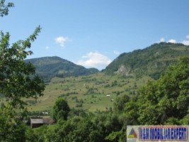 teren-intravilan-2900-mp-in-rucar-arges-potential-pentru-constructii-si-dezvoltare-rezidentiala-2