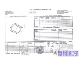 teren-intravilan-2900-mp-in-rucar-arges-potential-pentru-constructii-si-dezvoltare-rezidentiala-3