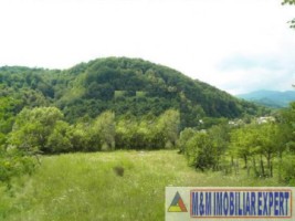 teren-intravilan-14-ha-de-vanzare-in-bradet-arges-oportunitate-ideala-pentru-dezvoltari-rezidentiale-si-turistice-3