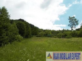 teren-intravilan-14-ha-de-vanzare-in-bradet-arges-oportunitate-ideala-pentru-dezvoltari-rezidentiale-si-turistice-9