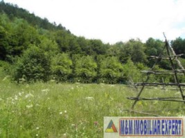 teren-intravilan-14-ha-de-vanzare-in-bradet-arges-oportunitate-ideala-pentru-dezvoltari-rezidentiale-si-turistice-4