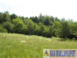 teren-intravilan-14-ha-de-vanzare-in-bradet-arges-oportunitate-ideala-pentru-dezvoltari-rezidentiale-si-turistice-5