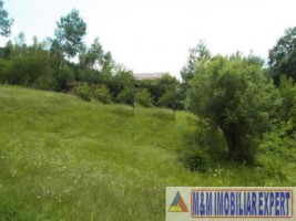 teren-intravilan-14-ha-de-vanzare-in-bradet-arges-oportunitate-ideala-pentru-dezvoltari-rezidentiale-si-turistice-8