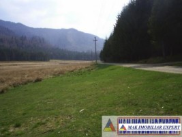 teren-extravilan-5600-mp-de-vanzare-in-bradulet-poienile-valsanului-arges-ideal-pentru-activitati-agricole-sau-investitii-pe-termen-lung