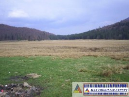 teren-extravilan-5600-mp-de-vanzare-in-bradulet-poienile-valsanului-arges-ideal-pentru-activitati-agricole-sau-investitii-pe-termen-lung-1