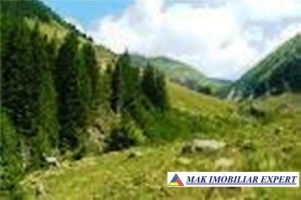 casa-cu-4-camere-si-teren-de-1200-mp-de-vanzare-in-poienile-valsanului-bradulet-arges-ideala-pentru-locuinta-de-familie-2