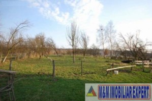 teren-intravilan-3600-mp-de-vanzare-in-bughea-de-jos-arges-oportunitate-pentru-dezvoltari-rezidentiale