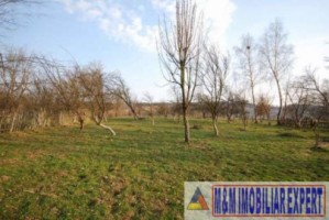 teren-intravilan-3600-mp-de-vanzare-in-bughea-de-jos-arges-oportunitate-pentru-dezvoltari-rezidentiale-2