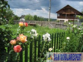 teren-intravilan-3600-mp-de-vanzare-in-bughea-de-jos-arges-oportunitate-pentru-dezvoltari-rezidentiale-4