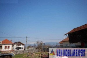 teren-intravilan-3600-mp-de-vanzare-in-bughea-de-jos-arges-oportunitate-pentru-dezvoltari-rezidentiale-5