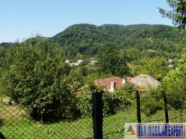 teren-padure-1-ha-de-vanzare-in-bughea-de-jos-ideal-pentru-investitii-in-silvicultura-10