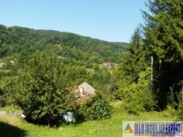 teren-padure-1-ha-de-vanzare-in-bughea-de-jos-ideal-pentru-investitii-in-silvicultura-11